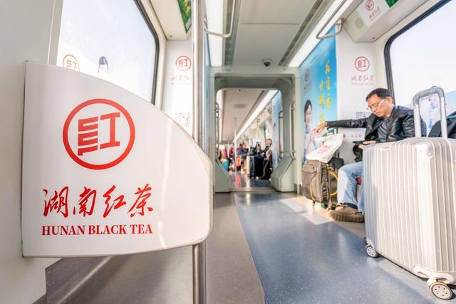 茗茶飘香，湖南红茶磁浮专列冬季温暖启程